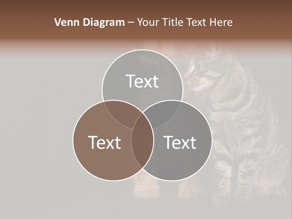 Look Poodle Mix Nature PowerPoint Template