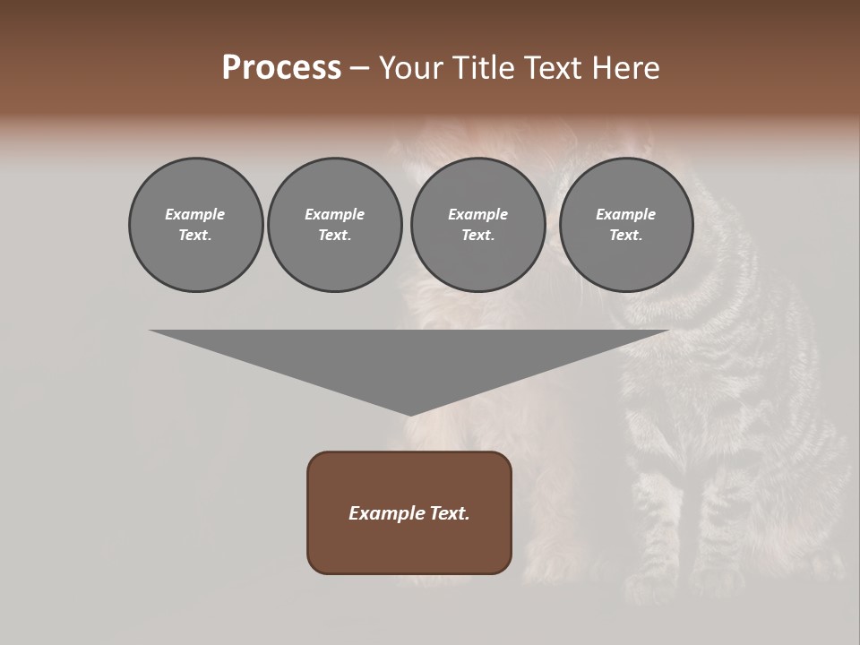 Look Poodle Mix Nature PowerPoint Template