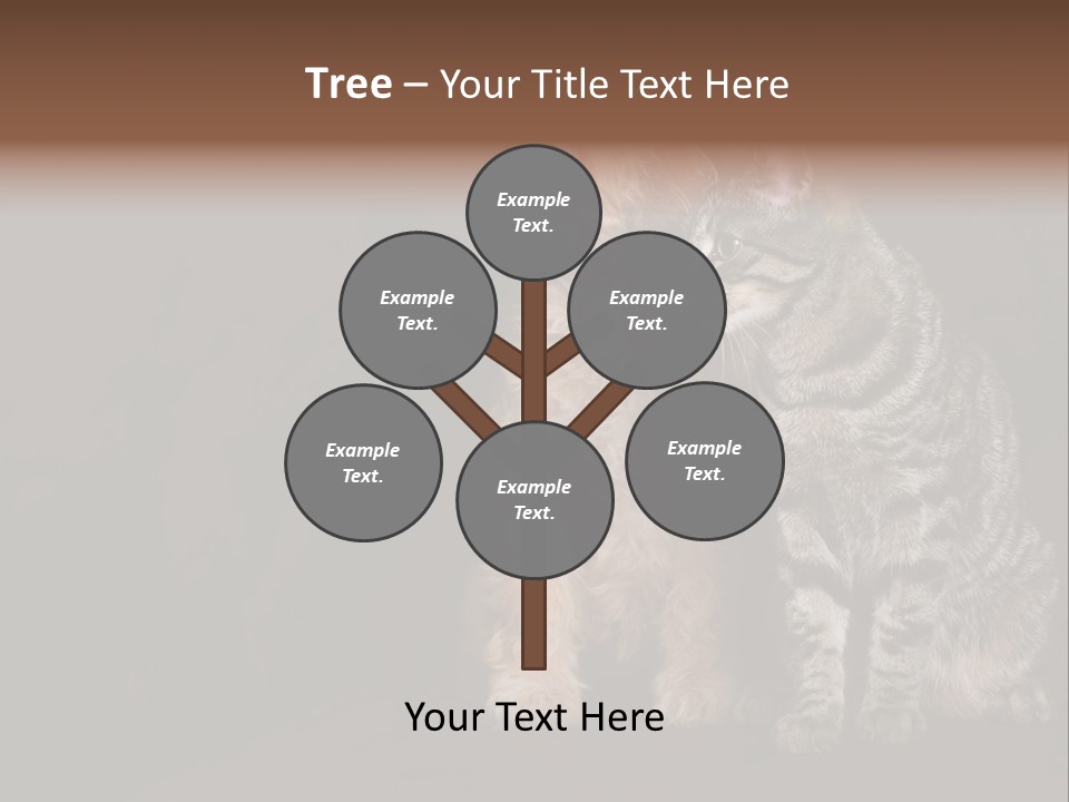 Look Poodle Mix Nature PowerPoint Template