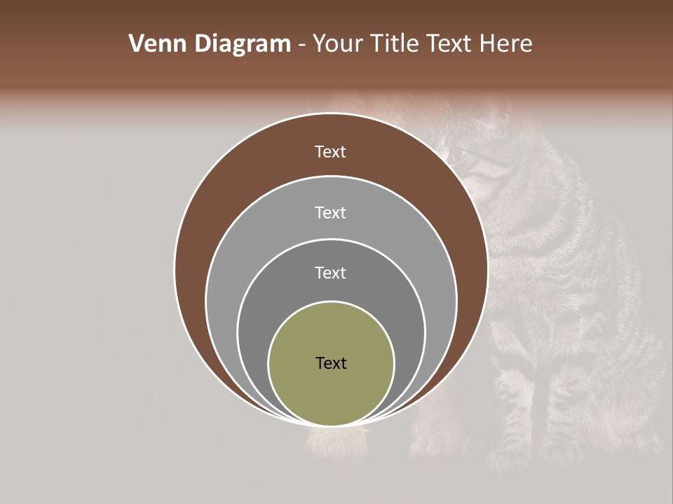 Look Poodle Mix Nature PowerPoint Template