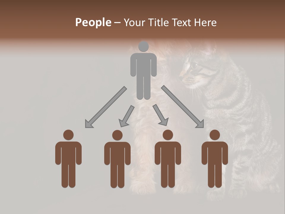 Look Poodle Mix Nature PowerPoint Template