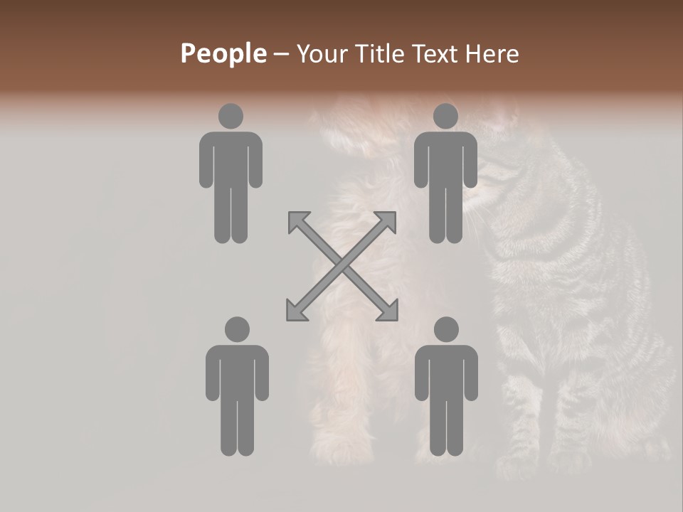 Look Poodle Mix Nature PowerPoint Template