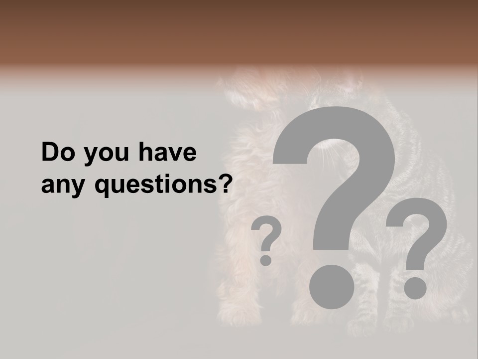 Look Poodle Mix Nature PowerPoint Template