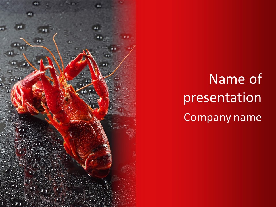 Invertebrate Crust Red PowerPoint Template