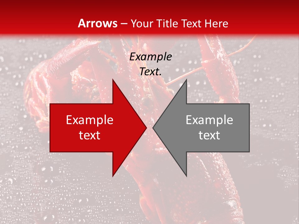 Invertebrate Crust Red PowerPoint Template