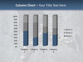 Modern Model Wall PowerPoint Template