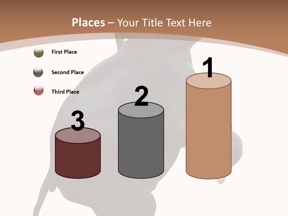 Wildlife Vertical Mammal PowerPoint Template