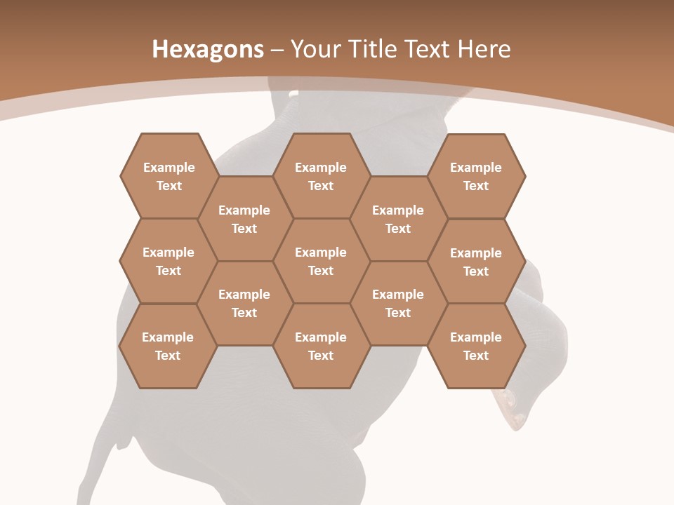 Wildlife Vertical Mammal PowerPoint Template