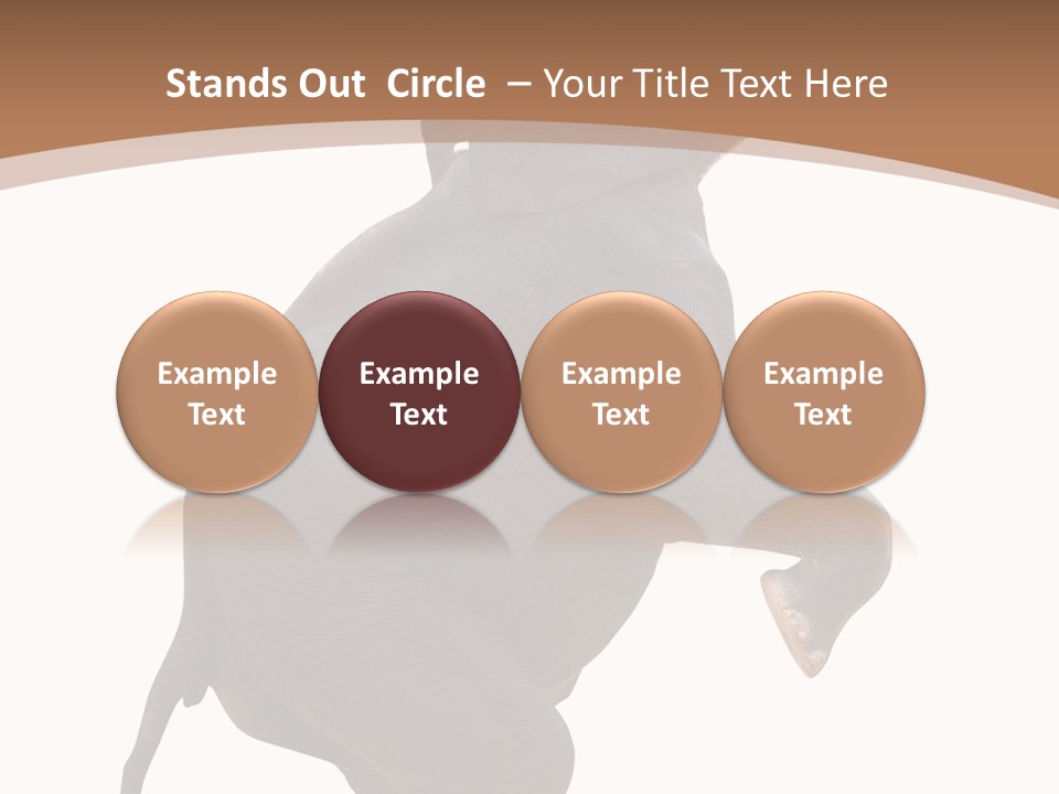 Wildlife Vertical Mammal PowerPoint Template