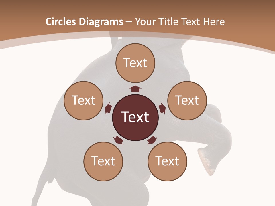 Wildlife Vertical Mammal PowerPoint Template