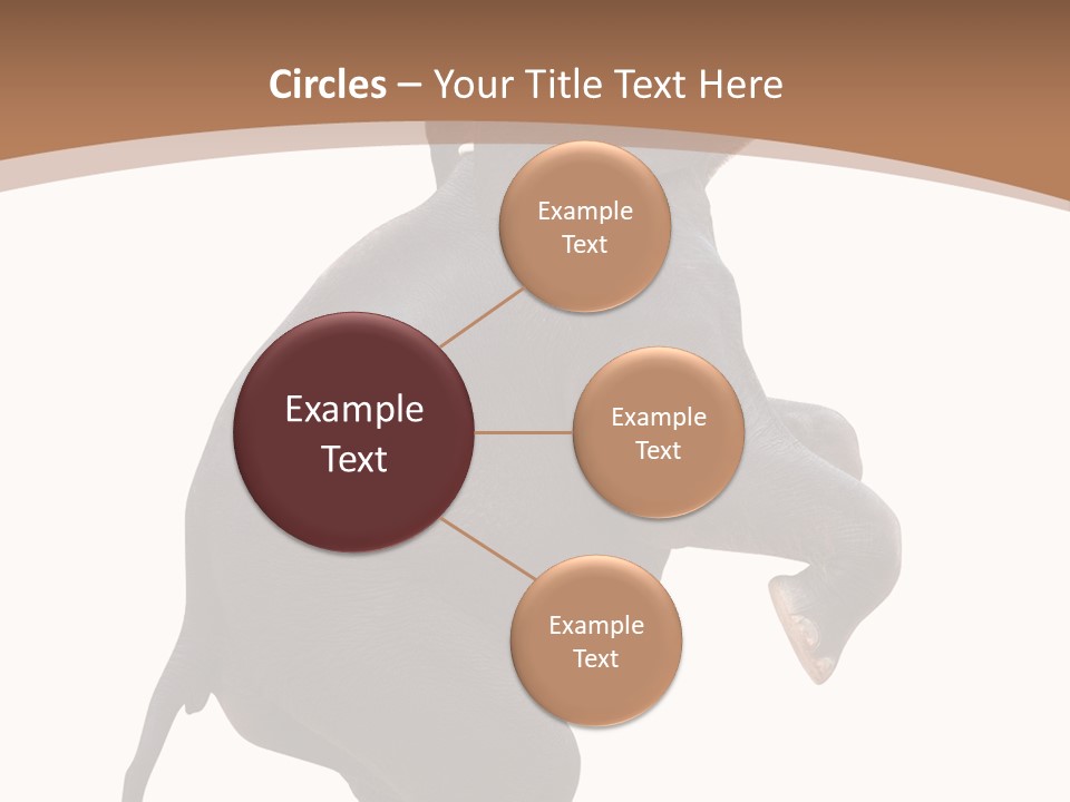 Wildlife Vertical Mammal PowerPoint Template
