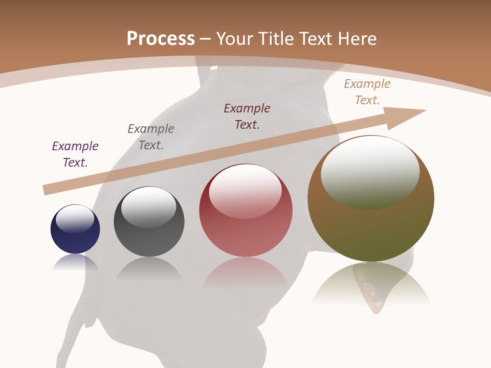 Wildlife Vertical Mammal PowerPoint Template