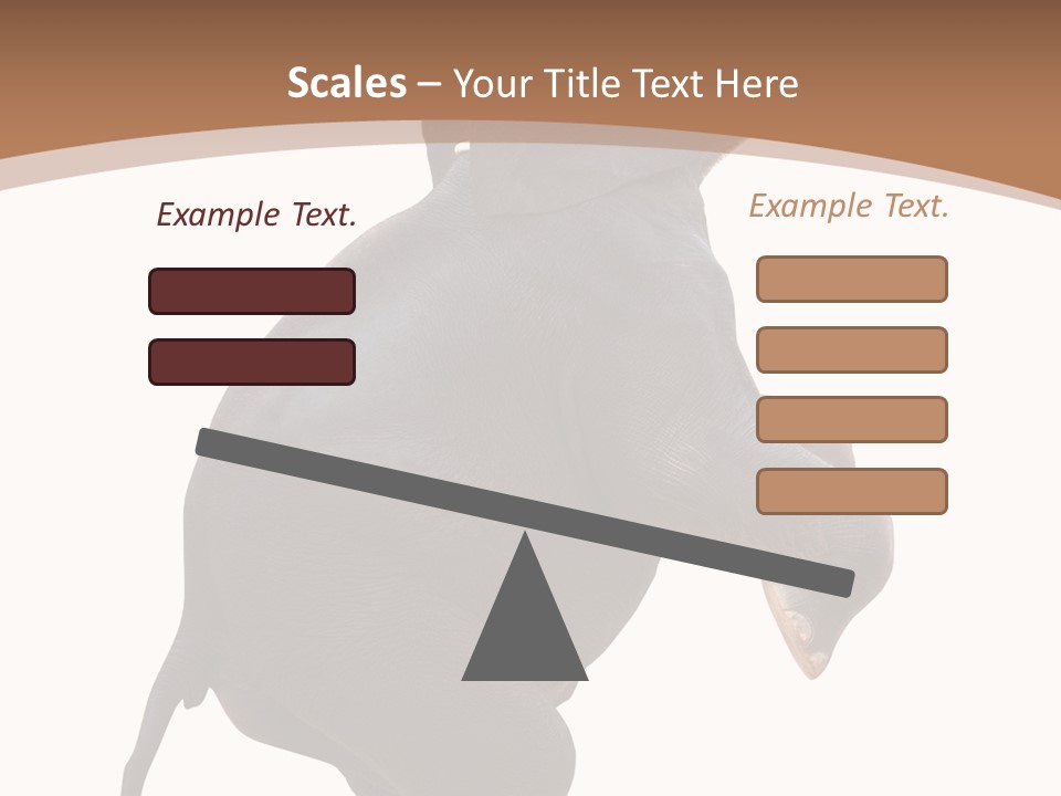 Wildlife Vertical Mammal PowerPoint Template