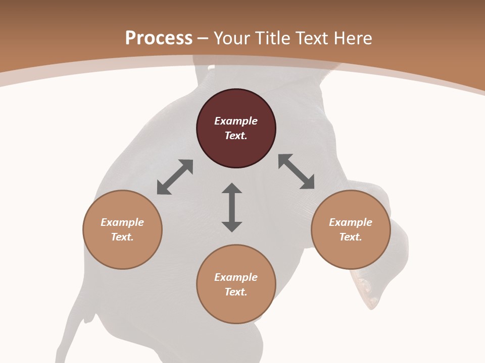 Wildlife Vertical Mammal PowerPoint Template