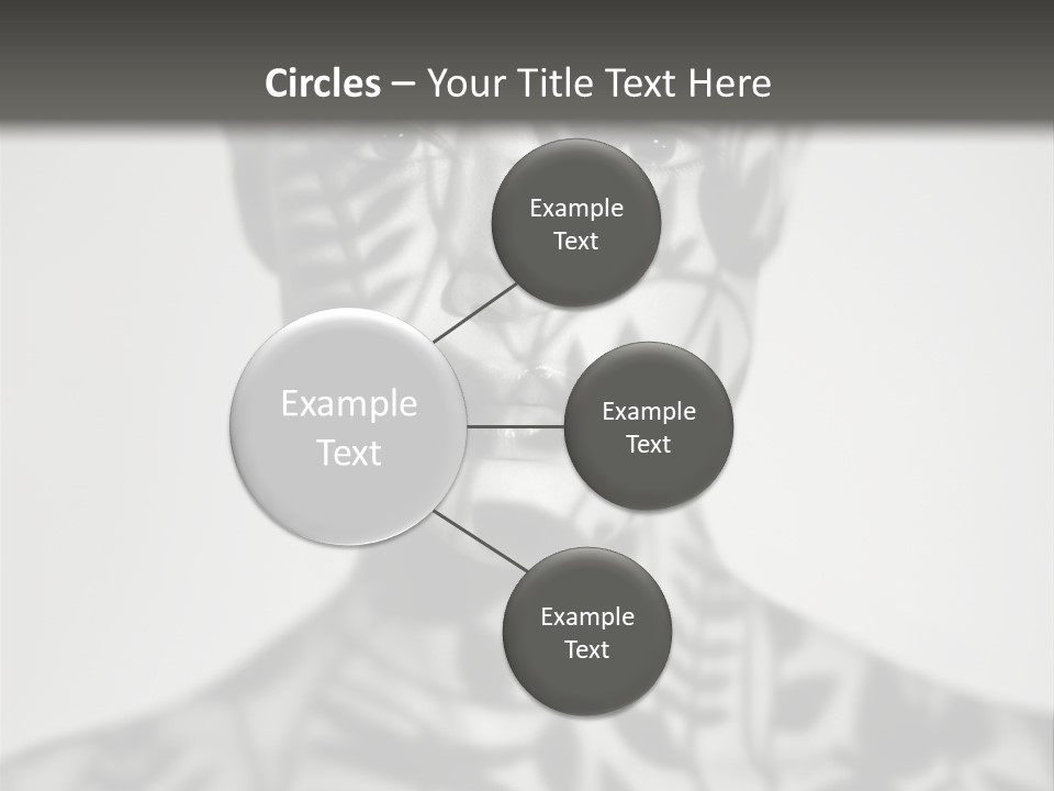 Sunny Makeup Style PowerPoint Template