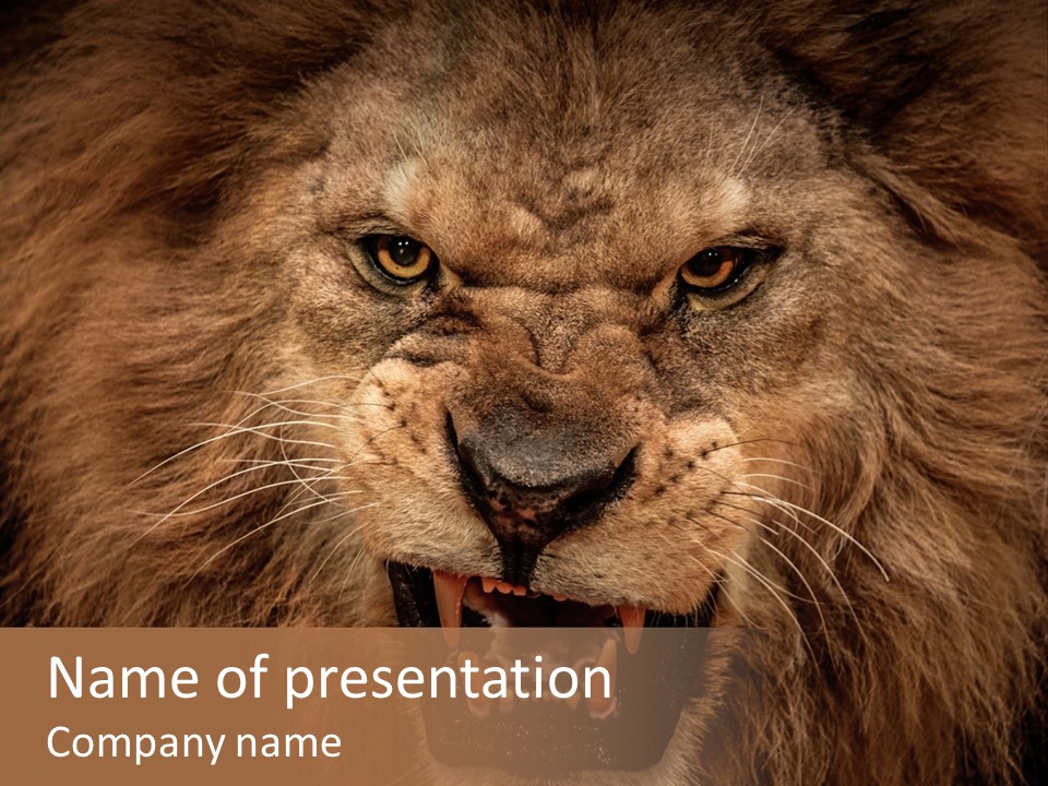 Wild Nature African PowerPoint Template