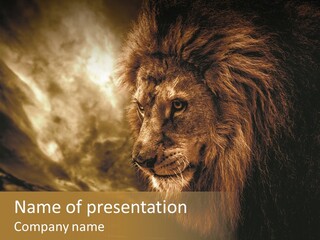 Carnivore Power African PowerPoint Template