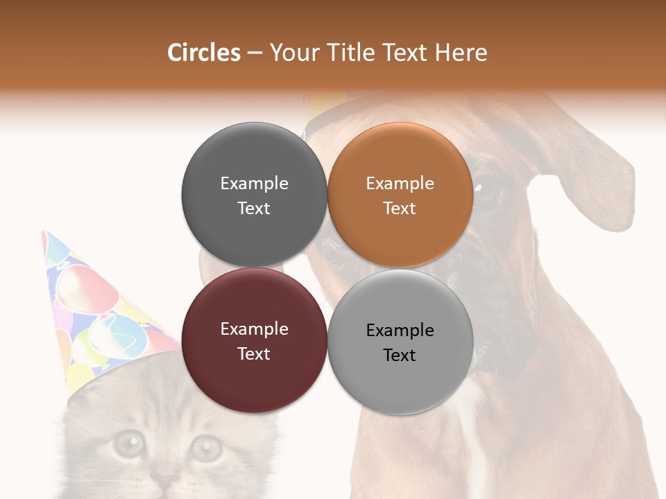 Baby Animals White Boxer Puppy PowerPoint Template