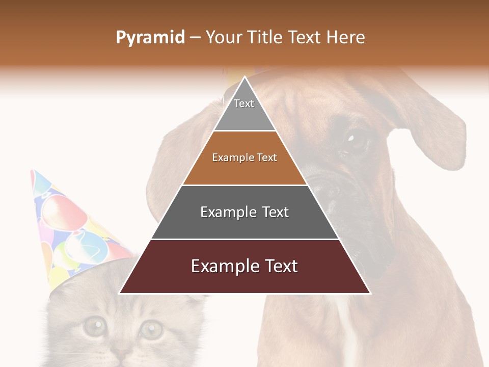 Baby Animals White Boxer Puppy PowerPoint Template