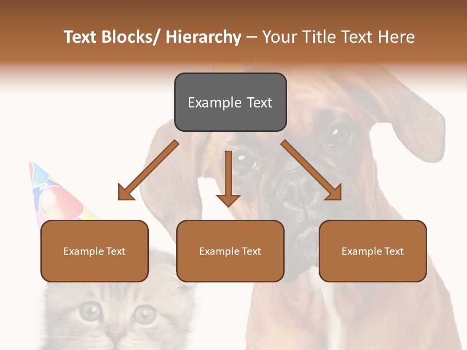 Baby Animals White Boxer Puppy PowerPoint Template