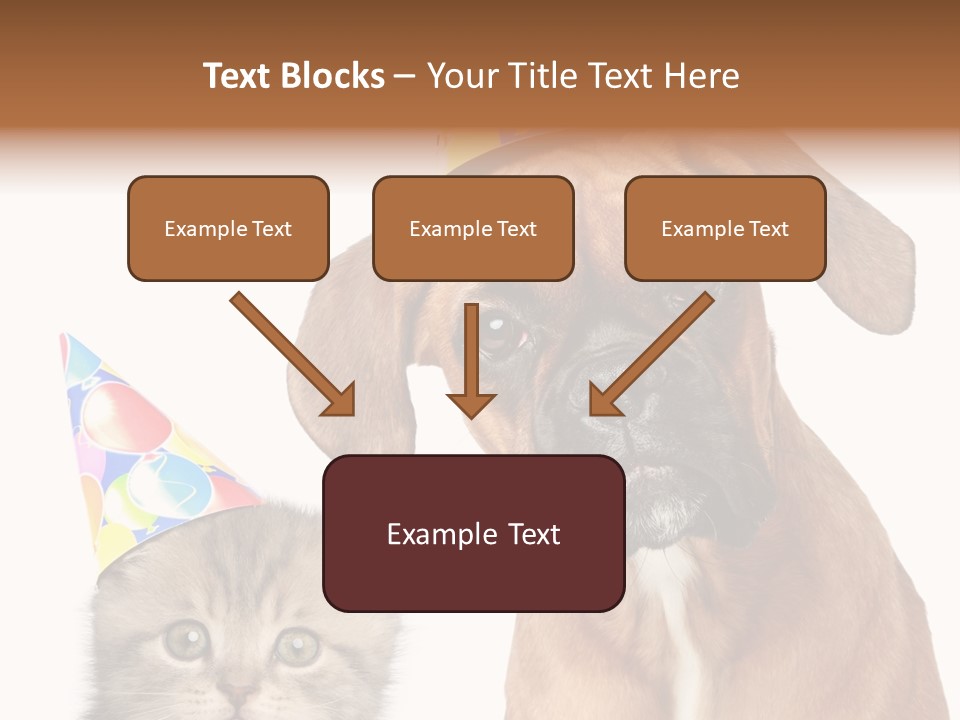 Baby Animals White Boxer Puppy PowerPoint Template