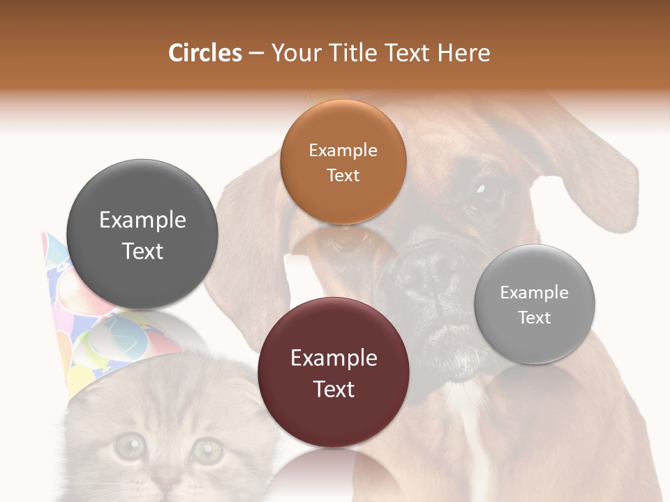 Baby Animals White Boxer Puppy PowerPoint Template