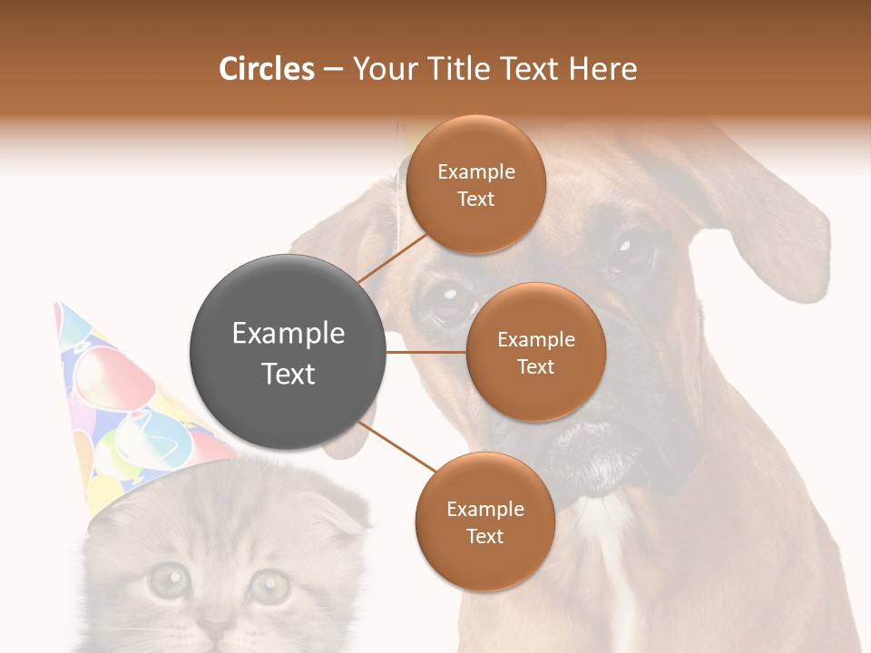 Baby Animals White Boxer Puppy PowerPoint Template