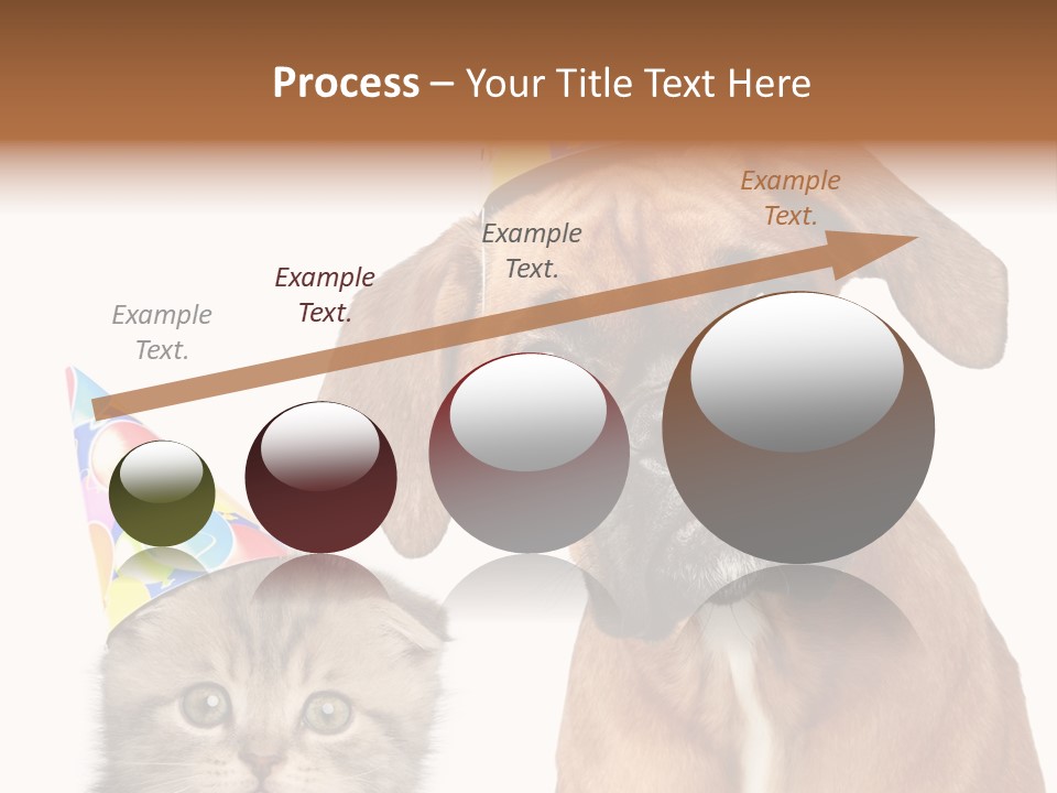 Baby Animals White Boxer Puppy PowerPoint Template