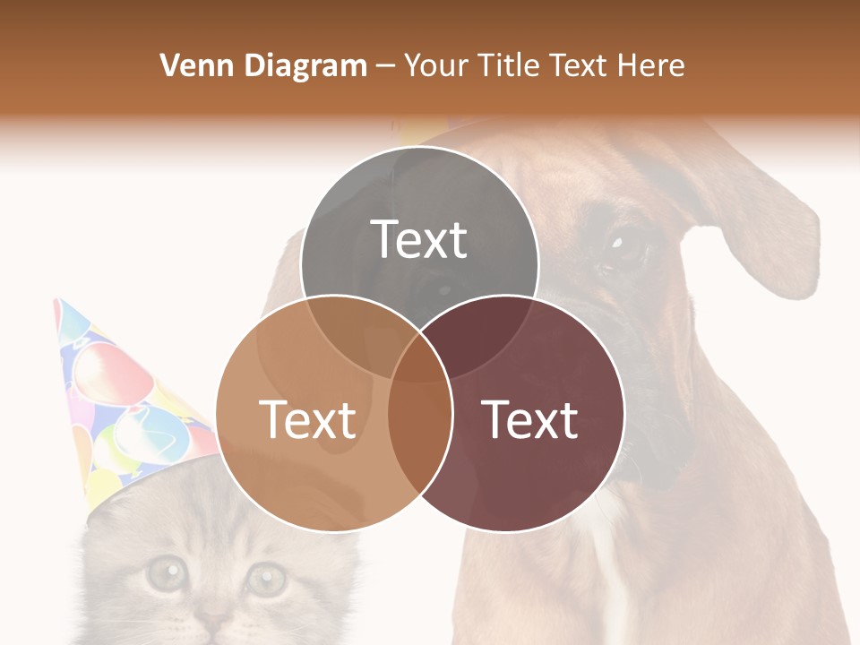 Baby Animals White Boxer Puppy PowerPoint Template