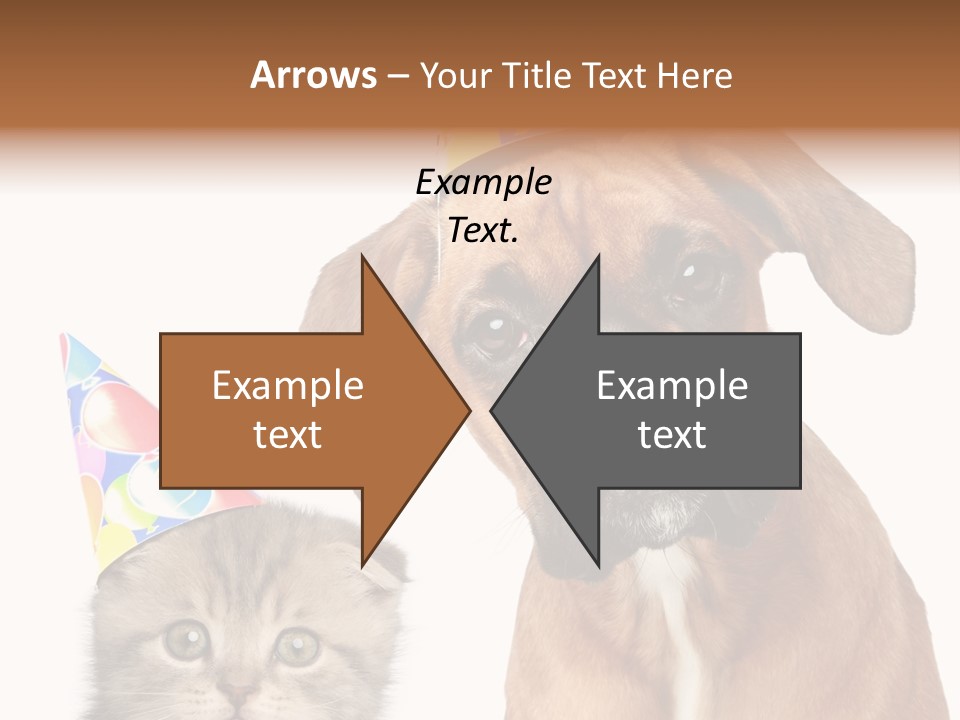 Baby Animals White Boxer Puppy PowerPoint Template