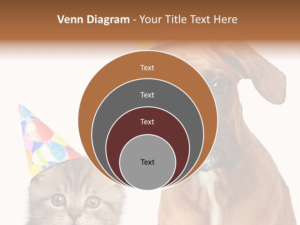 Baby Animals White Boxer Puppy PowerPoint Template