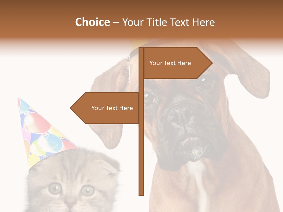 Baby Animals White Boxer Puppy PowerPoint Template