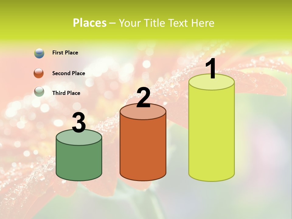 Flora Blooms Daisies PowerPoint Template