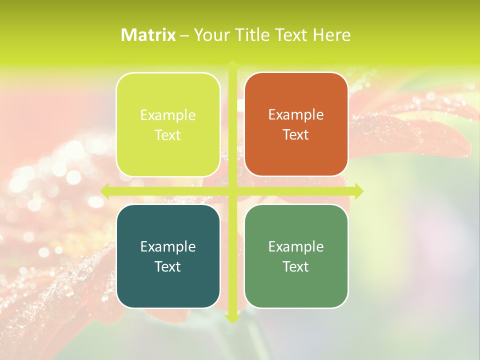 Flora Blooms Daisies PowerPoint Template