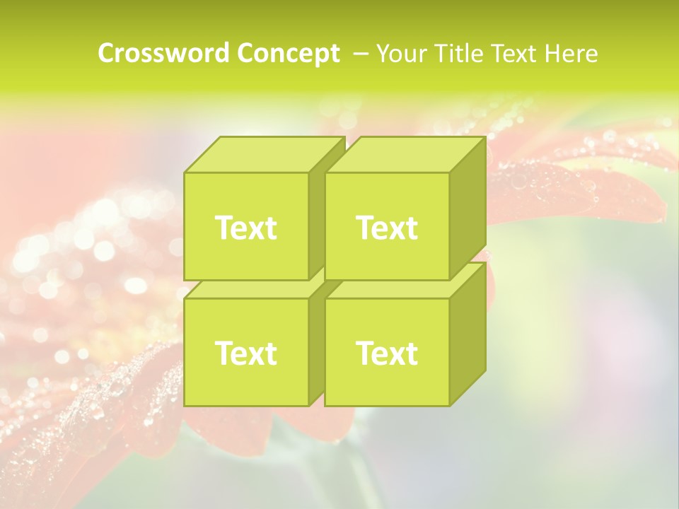 Flora Blooms Daisies PowerPoint Template