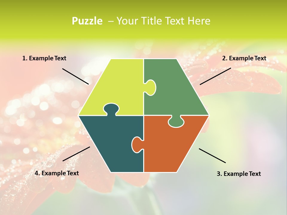 Flora Blooms Daisies PowerPoint Template