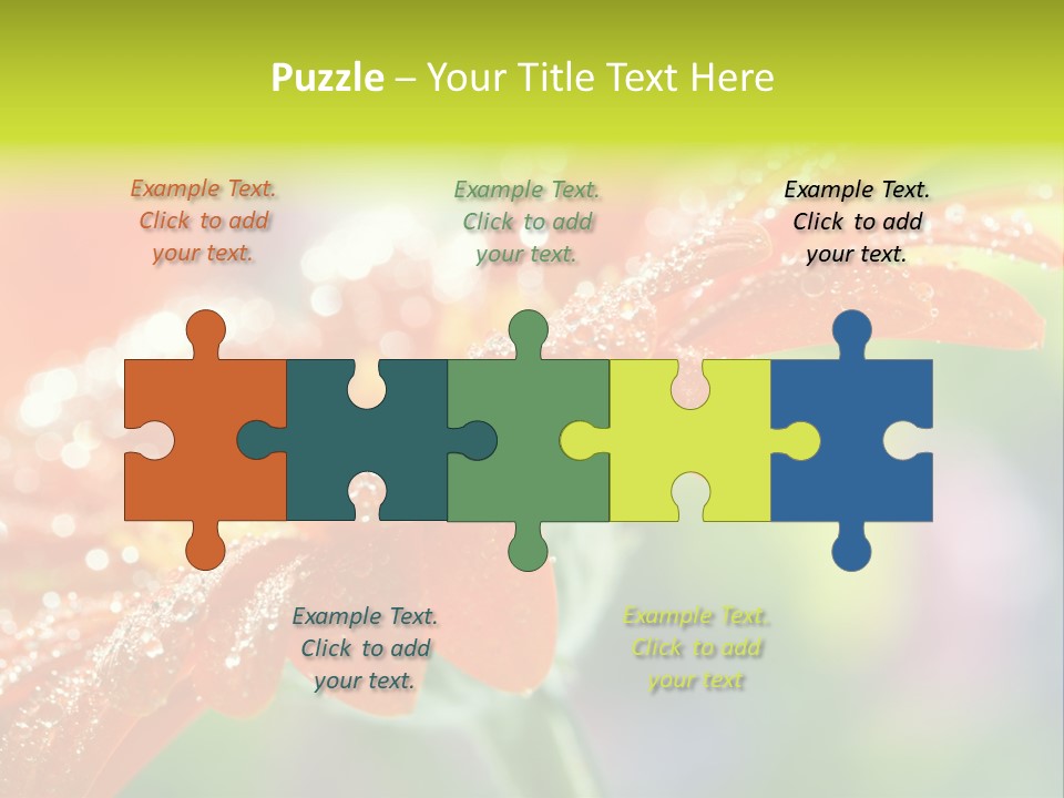 Flora Blooms Daisies PowerPoint Template