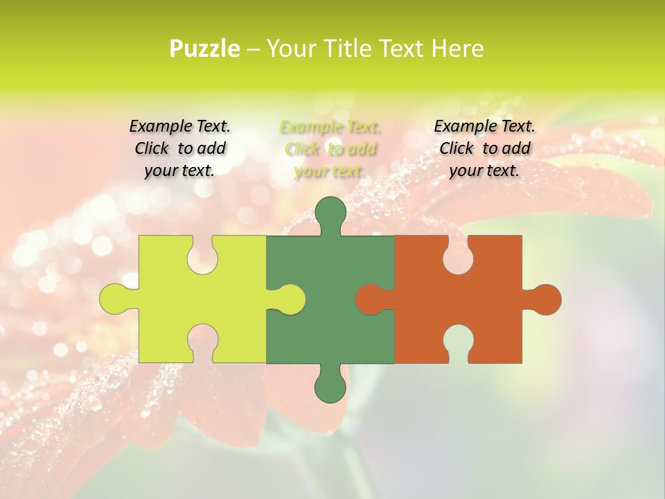 Flora Blooms Daisies PowerPoint Template