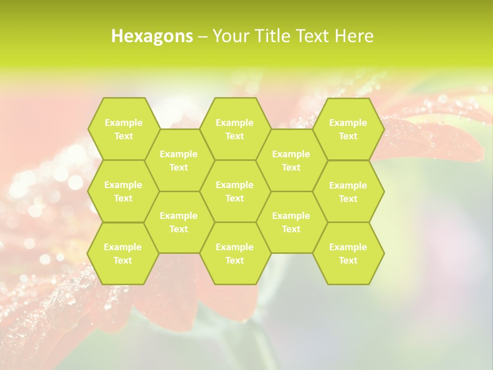 Flora Blooms Daisies PowerPoint Template