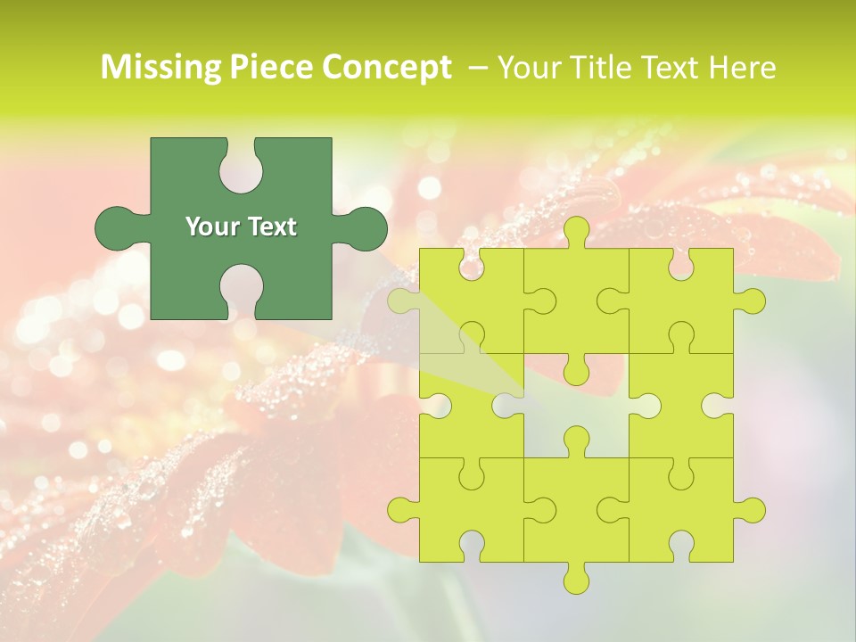 Flora Blooms Daisies PowerPoint Template