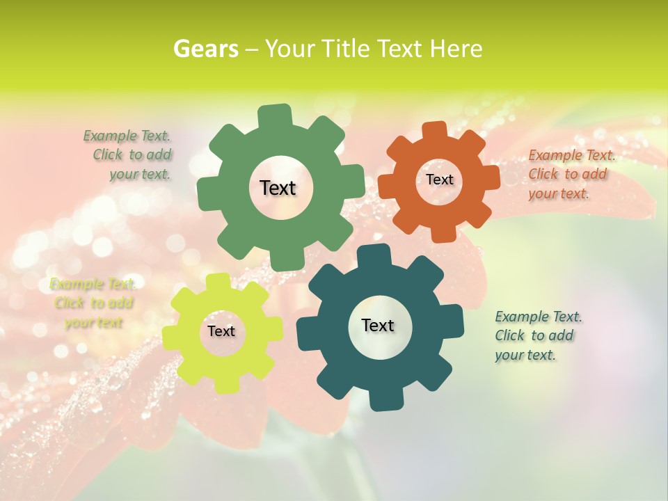 Flora Blooms Daisies PowerPoint Template