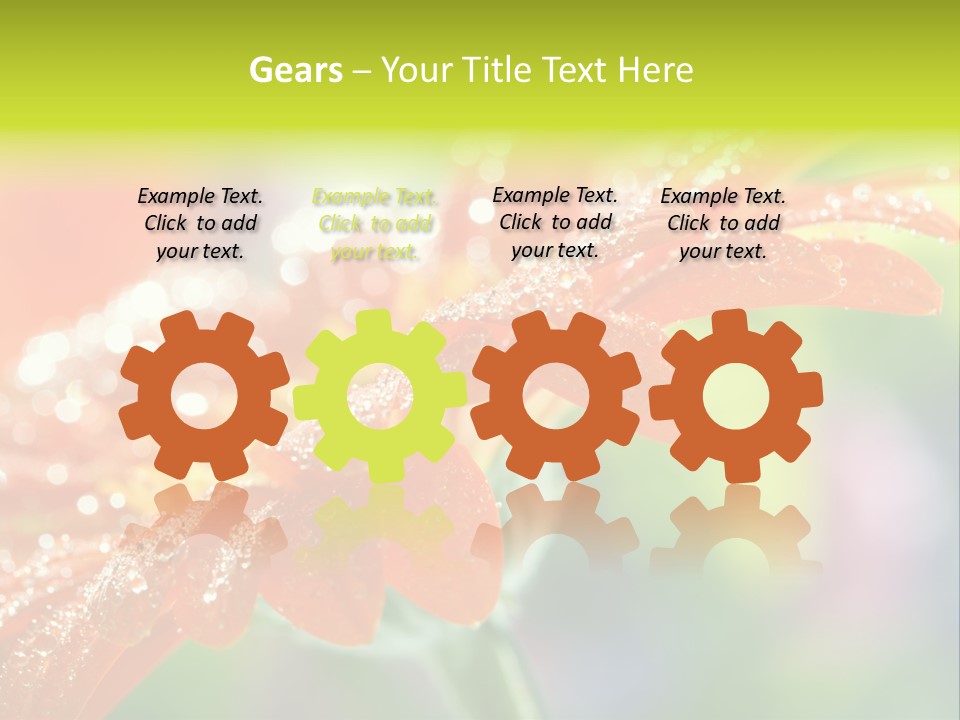 Flora Blooms Daisies PowerPoint Template