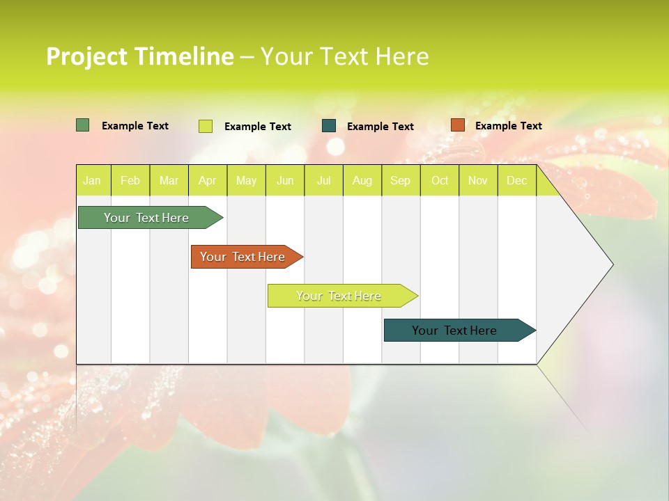 Flora Blooms Daisies PowerPoint Template