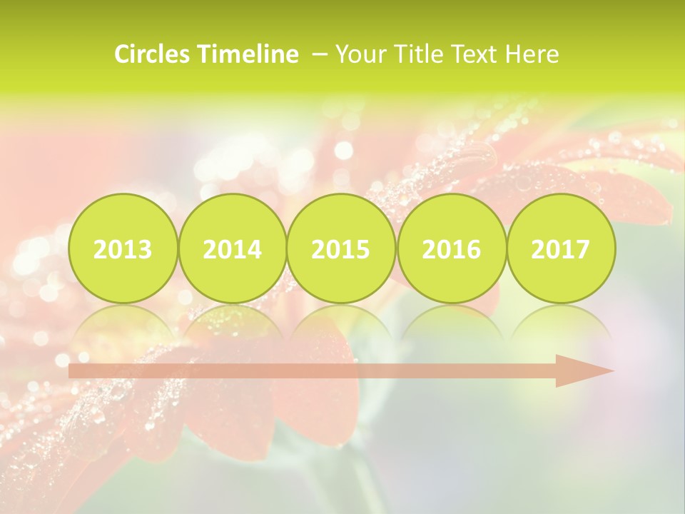 Flora Blooms Daisies PowerPoint Template