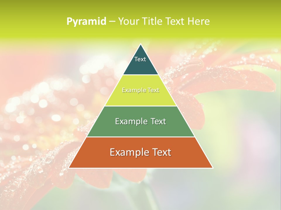 Flora Blooms Daisies PowerPoint Template