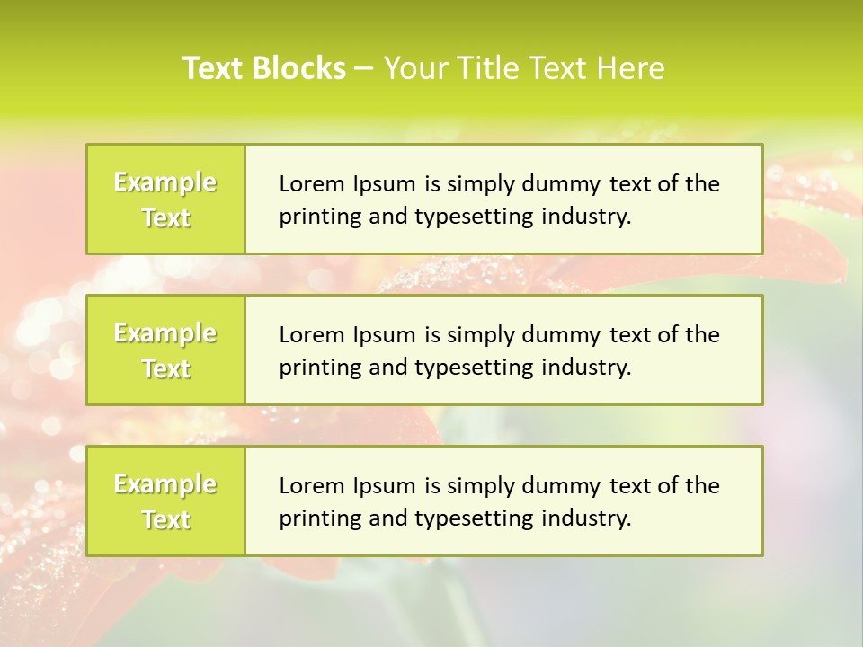 Flora Blooms Daisies PowerPoint Template