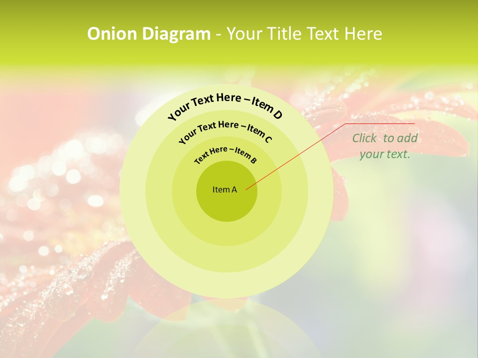 Flora Blooms Daisies PowerPoint Template