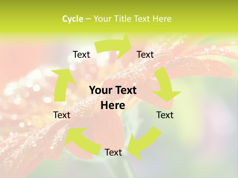 Flora Blooms Daisies PowerPoint Template