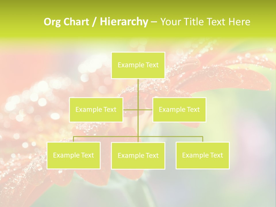 Flora Blooms Daisies PowerPoint Template