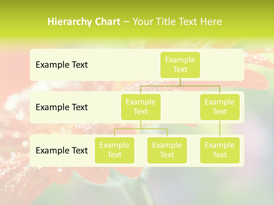 Flora Blooms Daisies PowerPoint Template